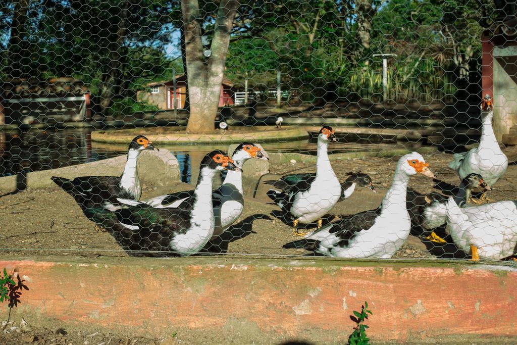 Pousada Fazendinha Buzios Exteriör bild