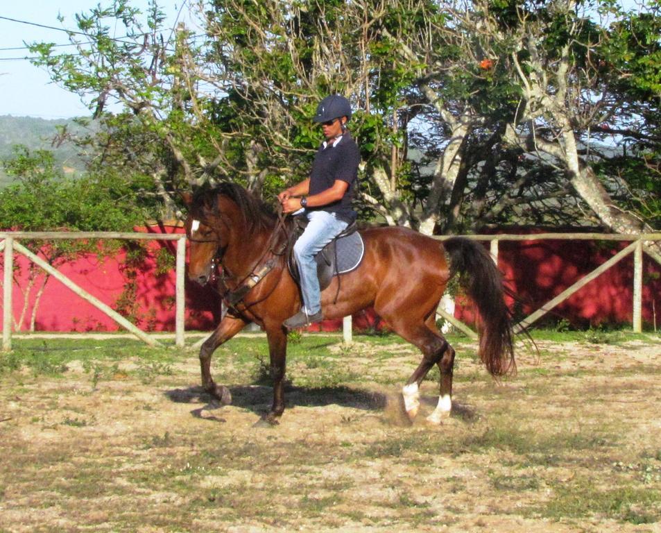 Pousada Fazendinha Buzios Exteriör bild